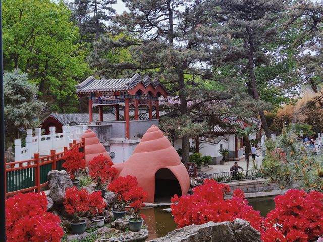 隱藏在寺廟裡的花海京郊遊紅螺寺