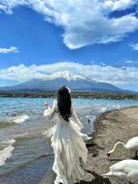 富士山的山中湖白鳥濱，簡直太寶藏啦！