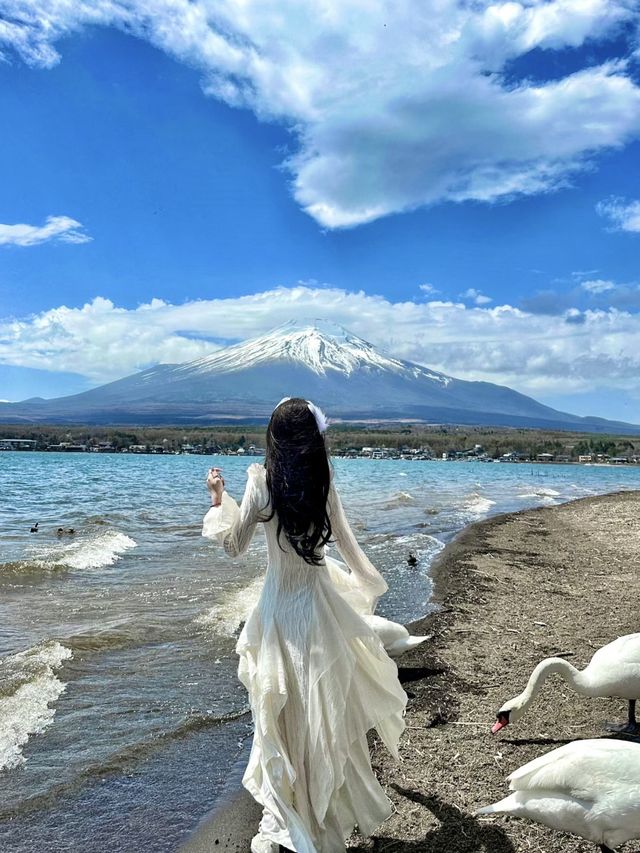 富士山的山中湖白鳥濱，簡直太寶藏啦！