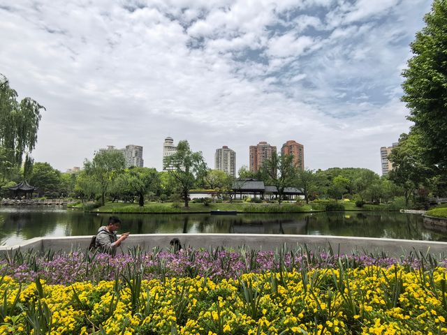 城市公園圖鑑|和平公園