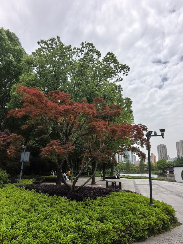 城市公園圖鑑|和平公園