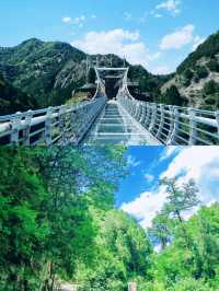 九龍山|玻璃棧道驚險刺激