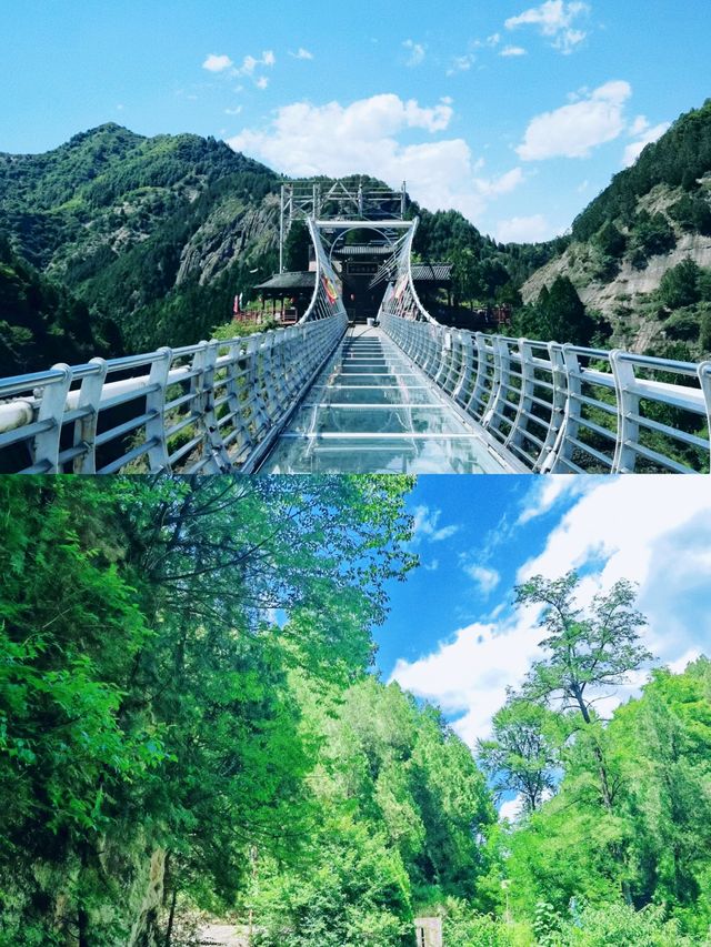 九龍山|玻璃棧道驚險刺激