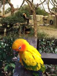 上海動物園超全攻略，你get了嗎？