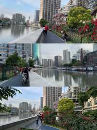 蘇州河十八灣 上海最佳City Walk路線之一