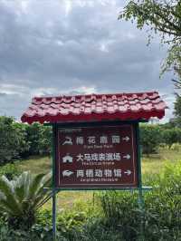 廣西遛娃打卡勝地 · 平南雄森動物大世界