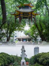 重庆大学：重庆最好的大学