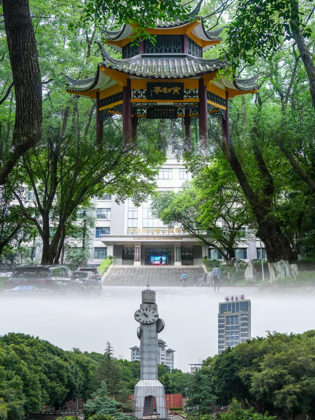 重庆大学：重庆最好的大学