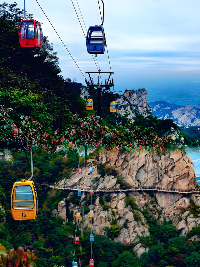 快看！沂蒙山旅遊景區這令人咋舌的一面！