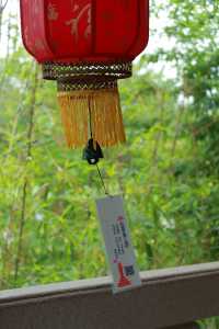 廊坊｜隆福寺——免費齋飯、舍粥