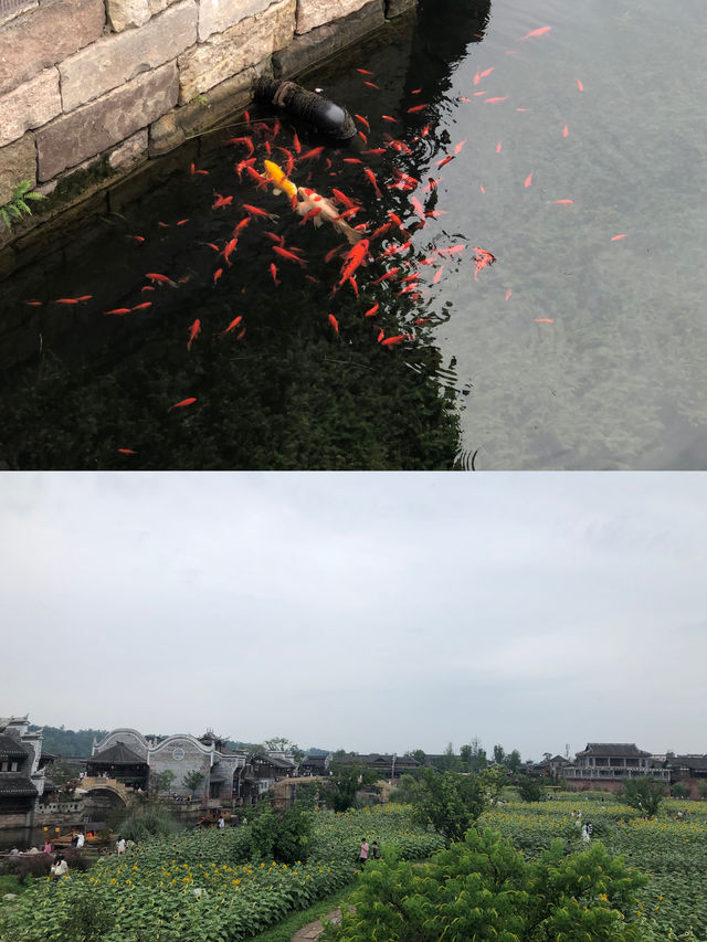 能打敗李莊古鎮的，那就只有夜晚的李莊古鎮了！！！