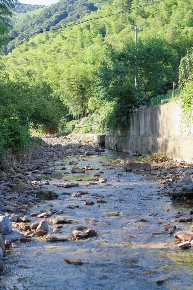 被問爆的湖州溯溪地這個夏天一定要去
