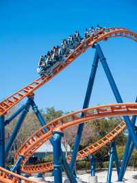 🌟 Orlando's Must-Visit Attractions: Magic, Thrills & Wonders 🎢🏰🐬