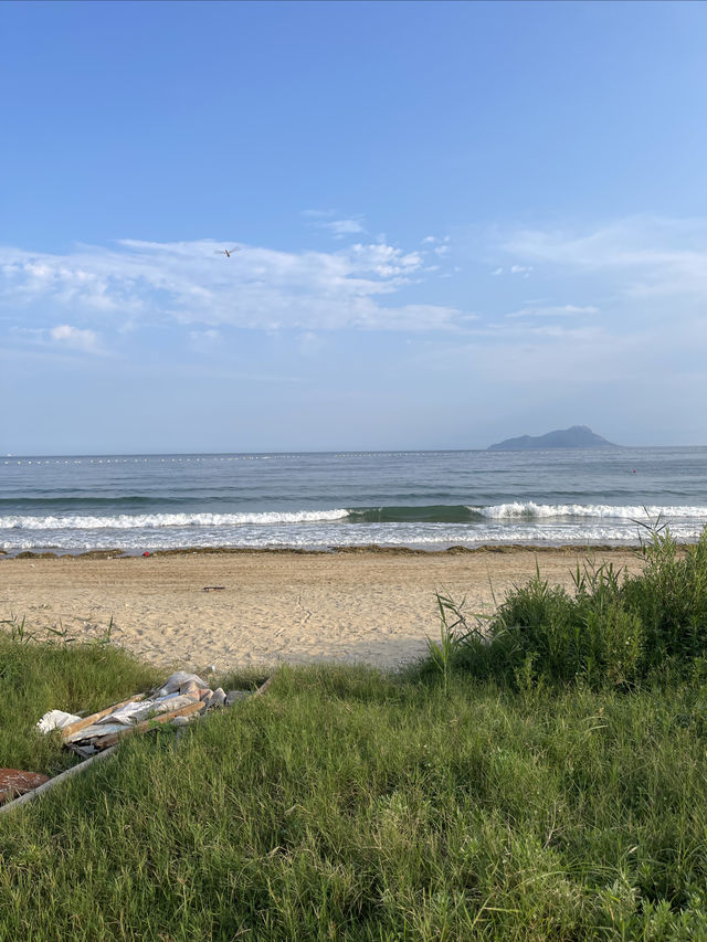 青島 這裡美的有點不太真實