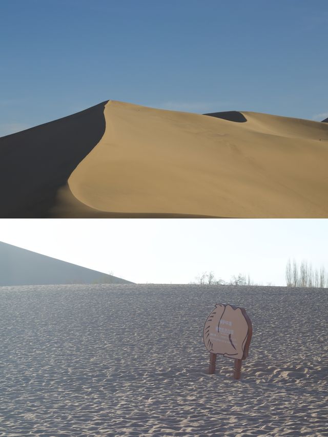 敦煌治癒玩沙騎駱駝好去處