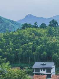 救命到底是谁说莫干山能避暑的