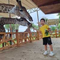 香港廣西四天三晚之平南雄森動物大世界