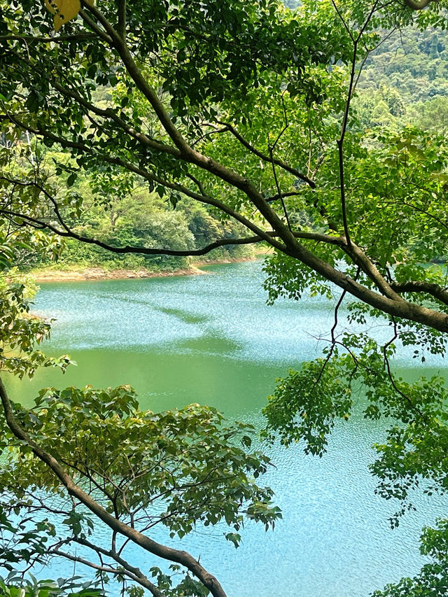 佛山｜無人知曉的綠寶石天池免費好玩