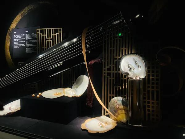 免費！深圳珠寶博物館，💰富貴迷人眼～