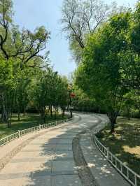 天津|人民公園~免費遛娃好去處。