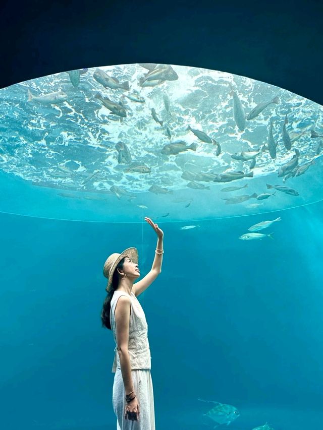 I liked Shikoku Aquarium so much❤️🥰