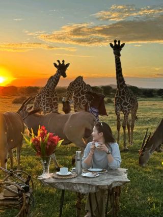 My favorite giraffe - Tanzania Safari❤️