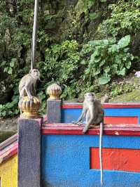 The Iconic Rainbow Stairs of Batu Caves, Kuala Lumpur 