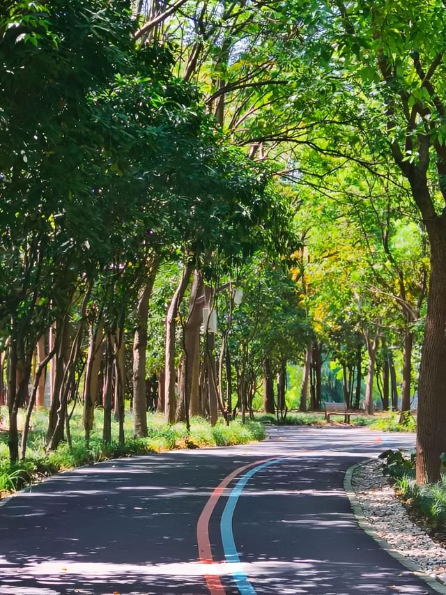 公園避暑 | 遇見超美的水上森林。。 公園避暑 | 遇見超美的水上森林。。