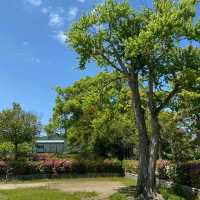 舞鶴公園：福岡歷史建築