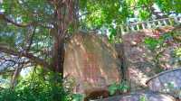 烏山公園石林景區。