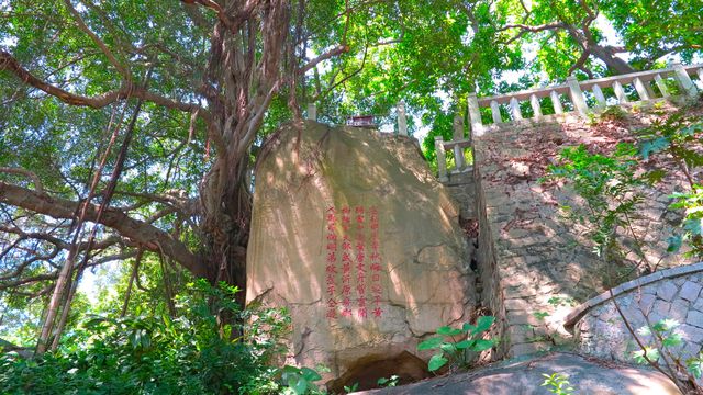烏山公園石林景區。