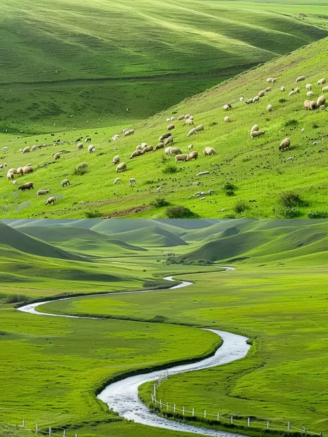 A must-visit in your lifetime: Bashang Grassland.