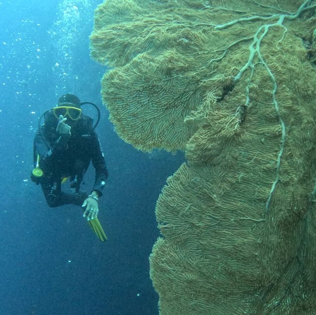 Under the sea at Doljo Beach