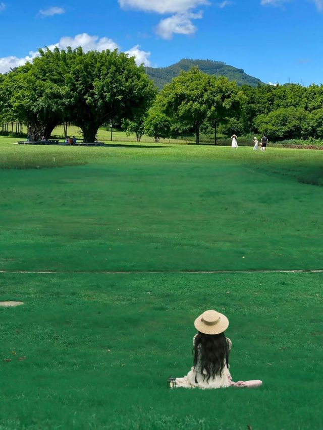 我宣布這是深圳公園天花板。