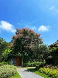 桂林香樟華蘋｜住進山水畫中～。