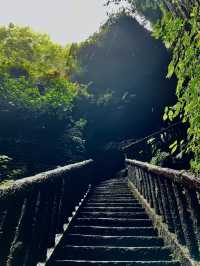 宜賓 僰王山｜遠離霧霾 走進氧吧。