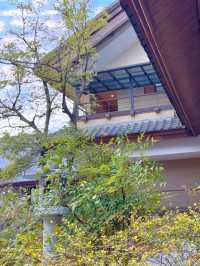 湖北問梅村｜不是京都！！是黃梅！巨美村落等你來！