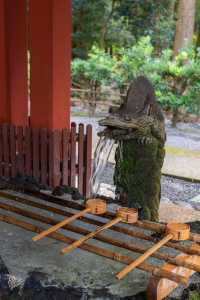 鹿兒島出發1小時打卡西日本大鳥居。
