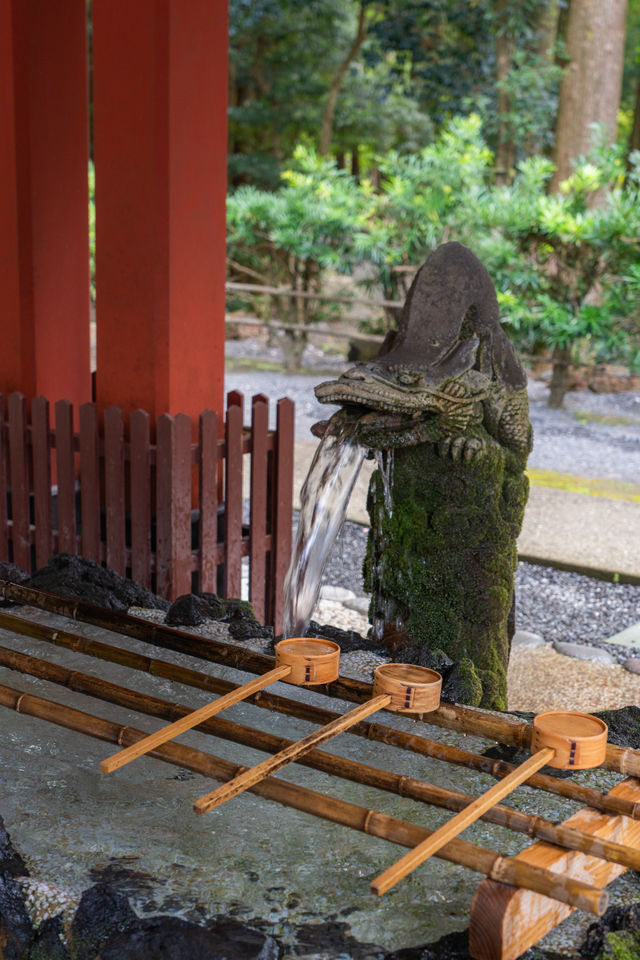 鹿兒島出發1小時打卡西日本大鳥居。