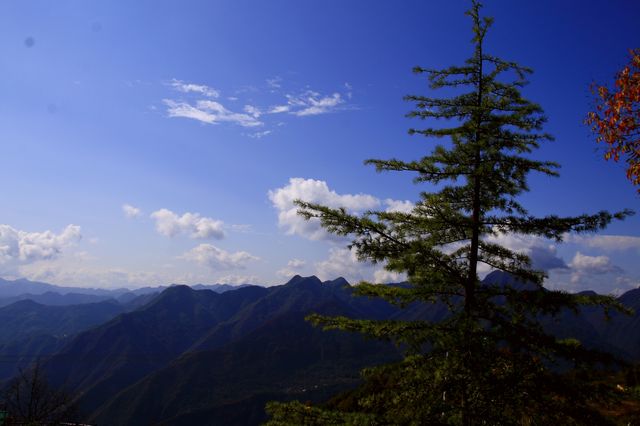 海棠山秋色。