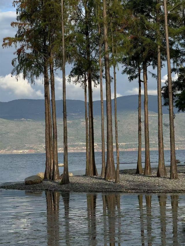 可以來打卡很火的海景酒店了。