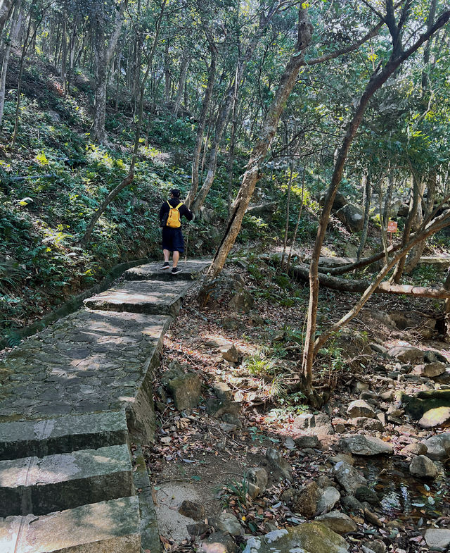 周末行山遠足好去處。