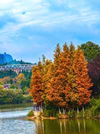 遇見觀山湖公園，邂逅城市中的自然之美 。