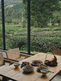 武夷山住宿篇 自在一味茶莊園~。