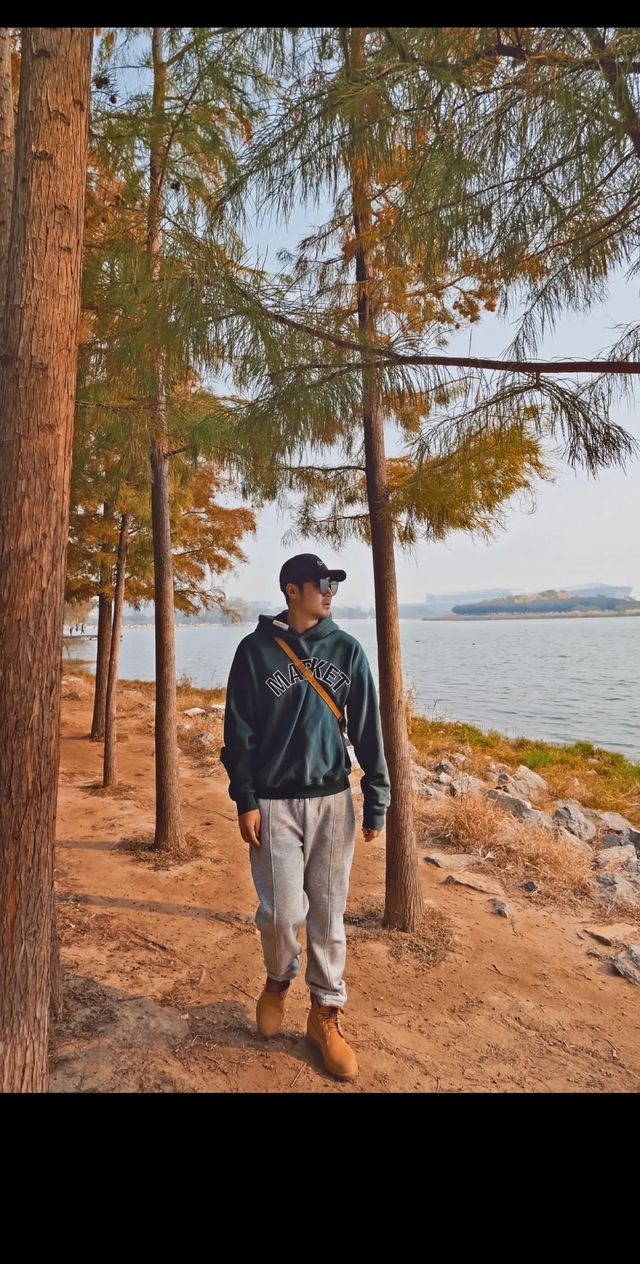 鄭州北龍湖的水杉秋冬限定色。