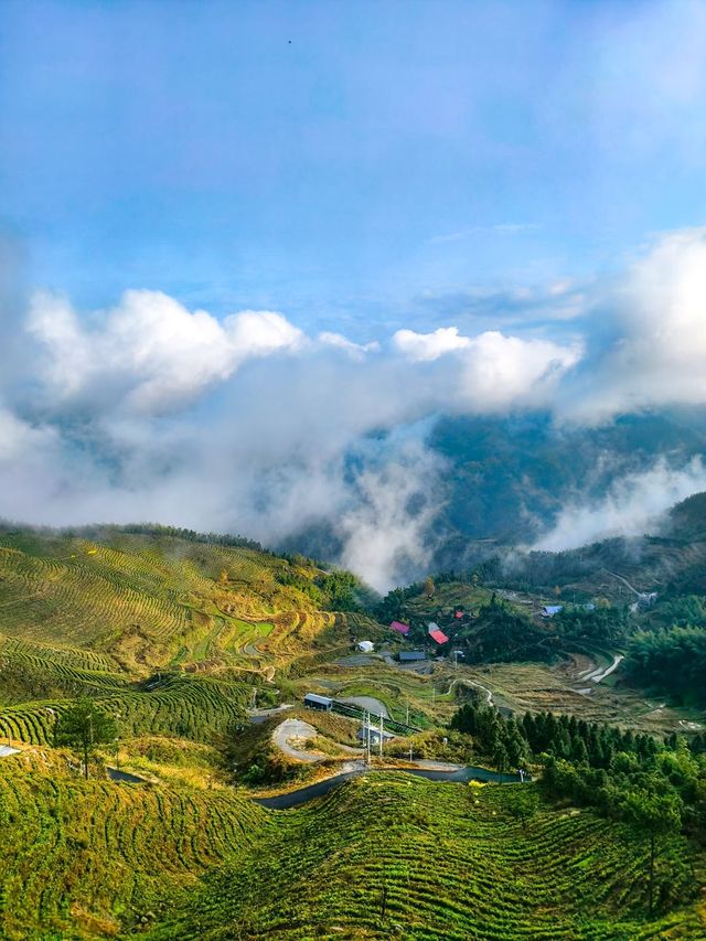 山在霧裡，我在山裡。