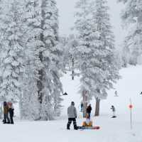 December Snow Conditions at Lake Tahoe!