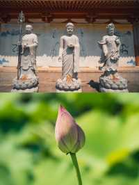 常州「金菠蘿」——寶林禪寺。