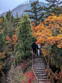 隴右名山蘭州興隆山 | 邂逅醉美秋色。
