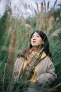 晴天的中和濕地公園,白房子真的很美。